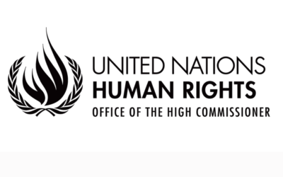 GPR2C contributions to UN Special Rapporteurs report on COVID-19 and human rights