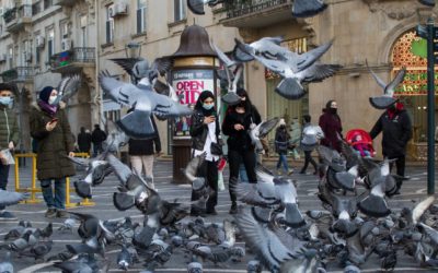 Vers la construction de villes à vivre