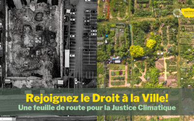 Comment les villes peuvent atténuer les conflits entre l’homme et la nature