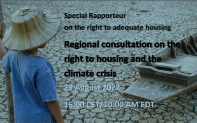 Americas consultation for the Special Rapporteur on the right to adequate housing report on climate change and housing