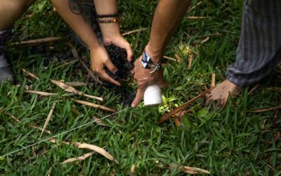 Día de los Derechos Humanos 2022: Reforcemos los vínculos urbano-rurales para avanzar el derecho a la ciudad